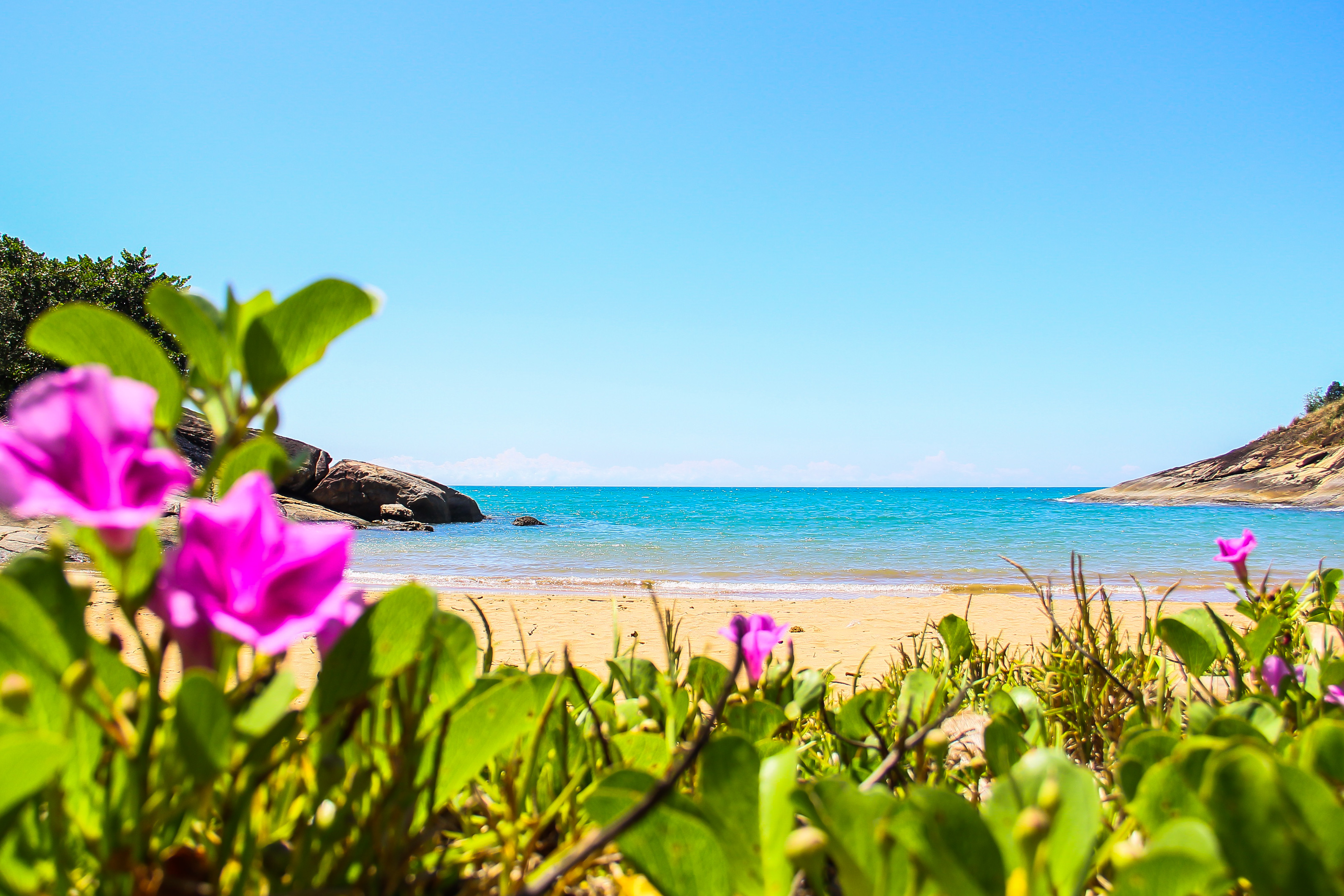 Praia do Sapê