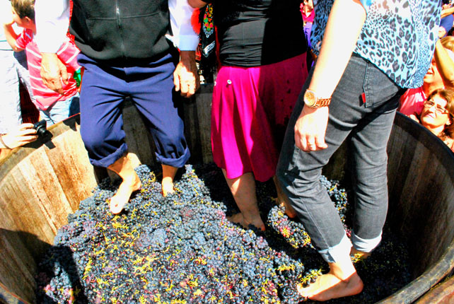 Festa_da_Uva_e_do_Vinho_Divulgacao_|||Fotógrafo:Divulgação