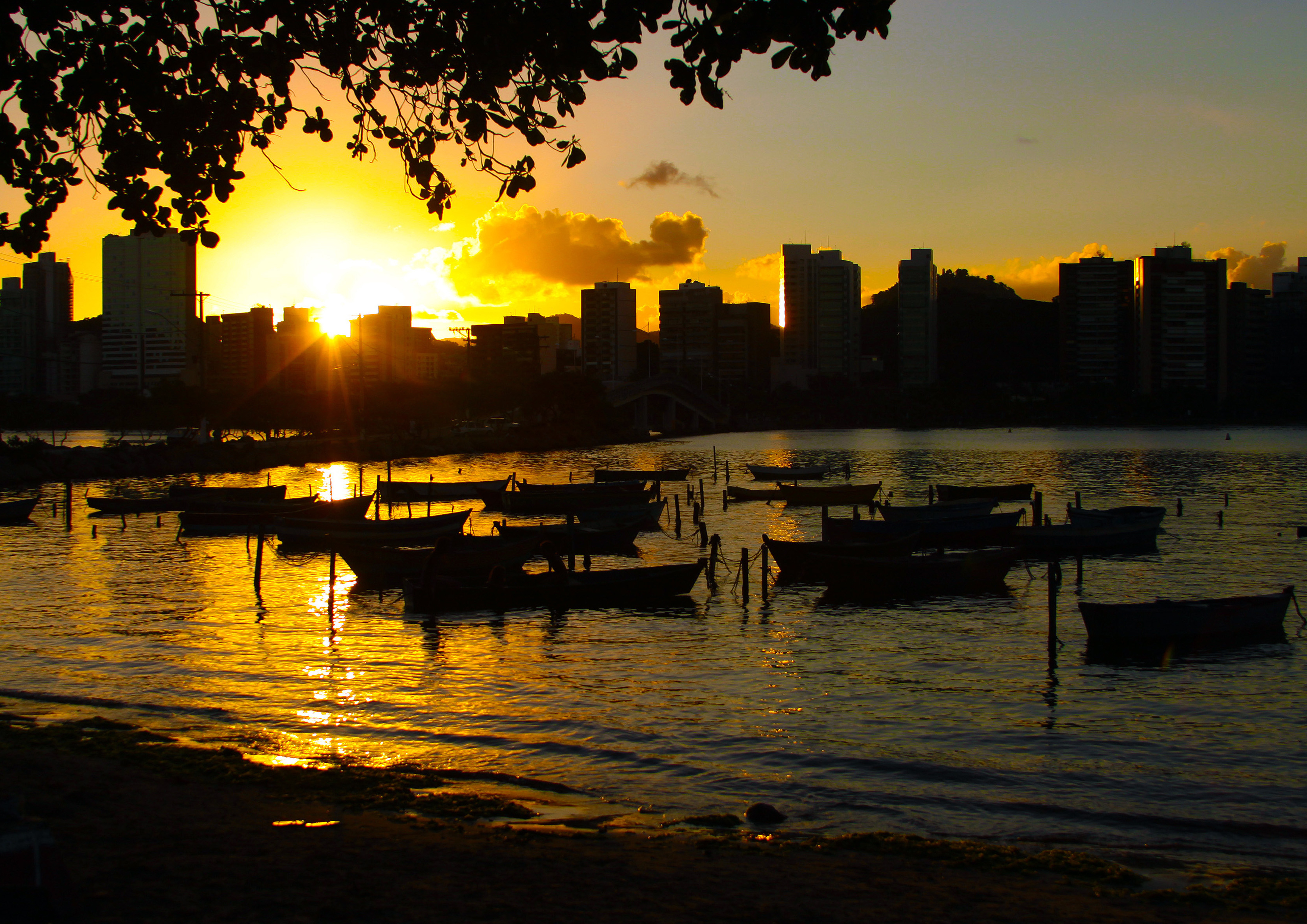 fernandomadeira_ilhadofrade_vitoria_es_40099496225_o.jpg