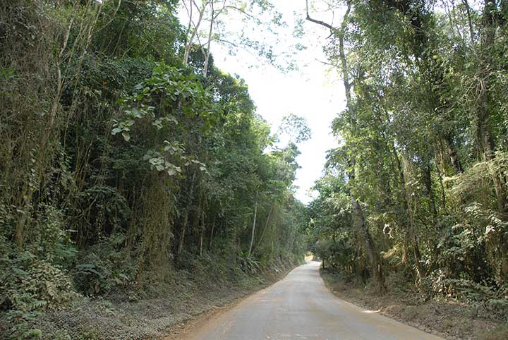 parque_estadual_mata_das_flores-1