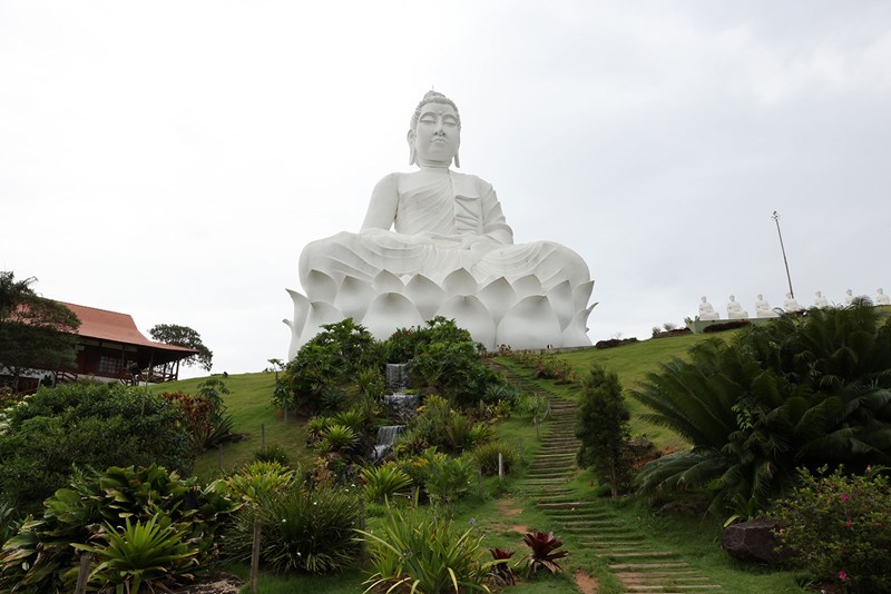HQF_1241-1-1